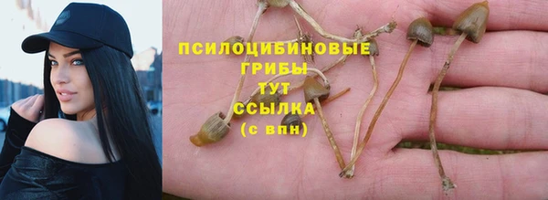 мяу мяу мука Карпинск