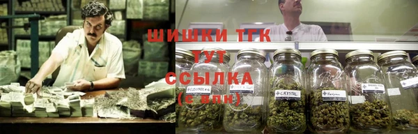 мяу мяу мука Кинешма